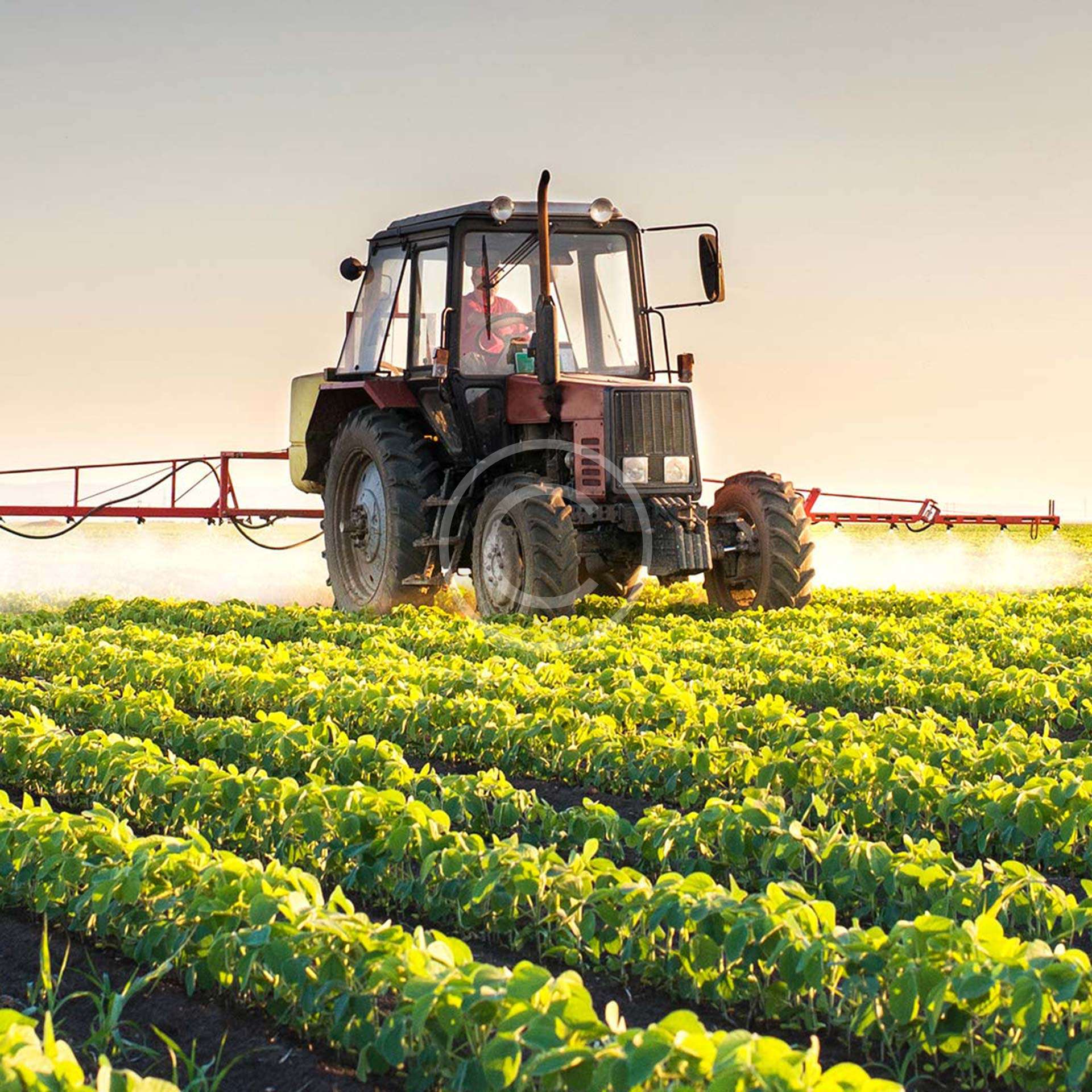 Agricultural Consultancy