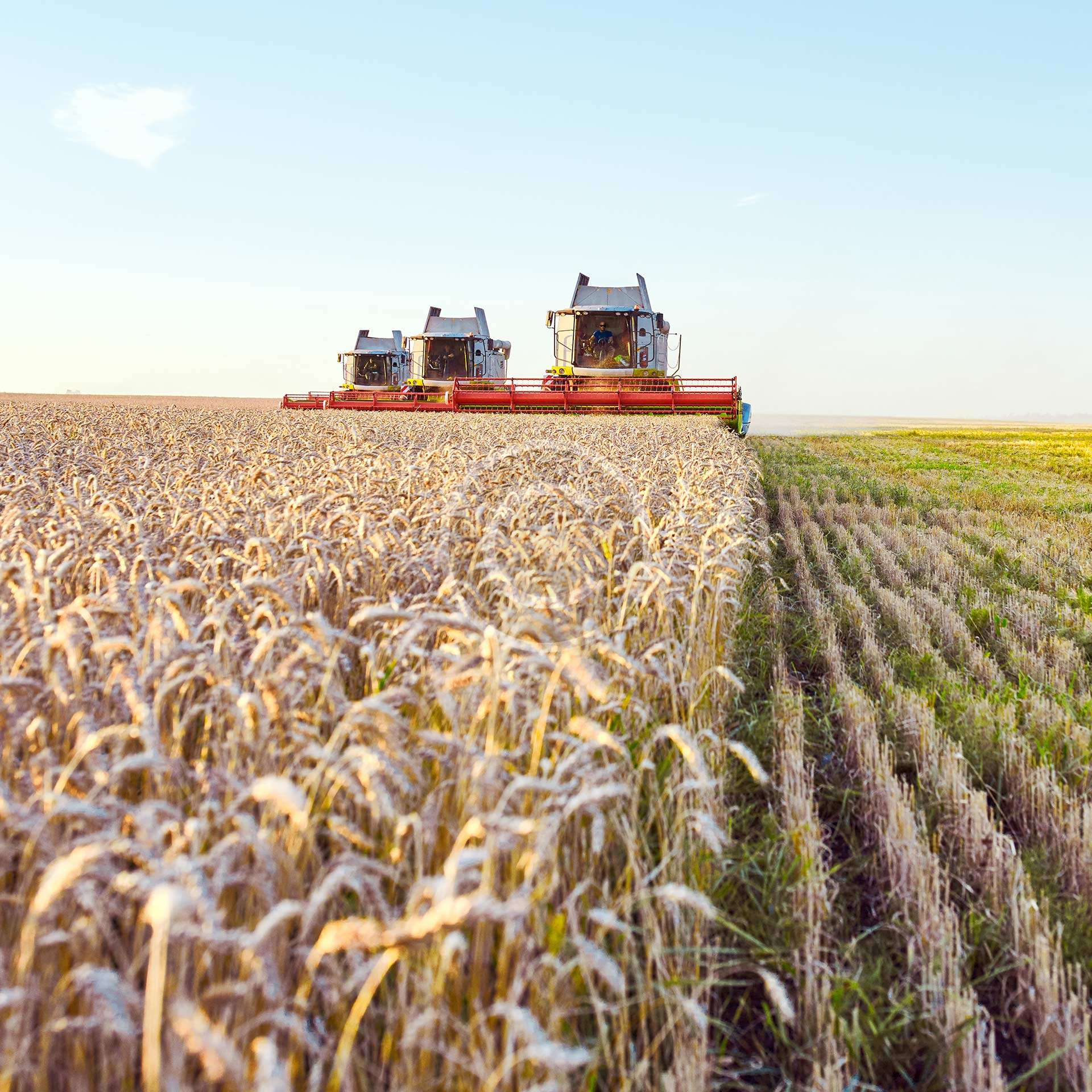 Systems & Equipment Supply